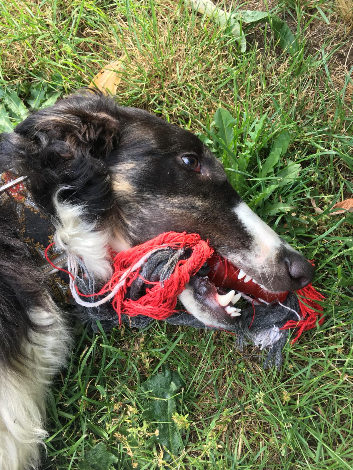 Toni Kensa im neuen Zuhause